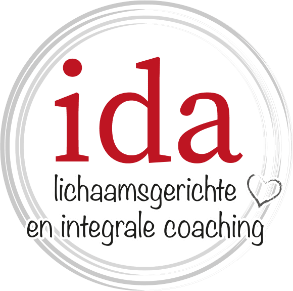 Ida8.1